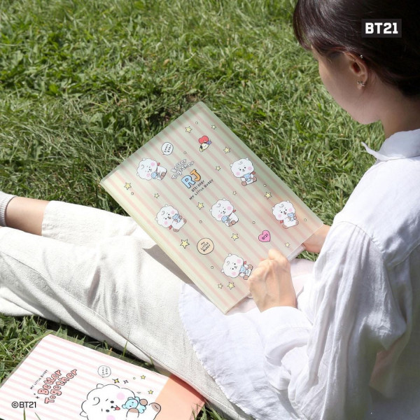 CLEAR FILE BT21